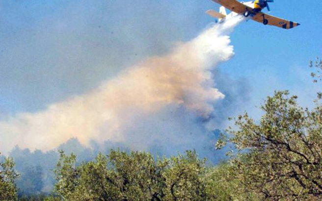 Σε εξέλιξη πυρκαγιά σε δασική έκταση στην Ελάτεια Φθιώτιδας