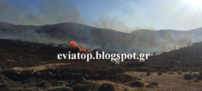 Σε κατάσταση έκτακτης ανάγκης η Κάρυστος – Ανεξέλεγκτη μαίνεται η φωτιά, ζημιές στο δίκτυο της ΔΕΗ (φωτό)