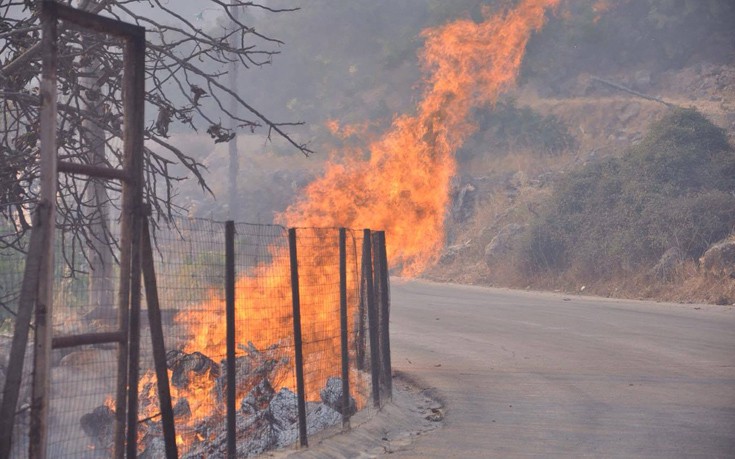 Εικόνες καταστροφής από τη μεγάλη φωτιά στη Χίο- Σε ύφεση η πυρκαγιά (φωτό&vid)