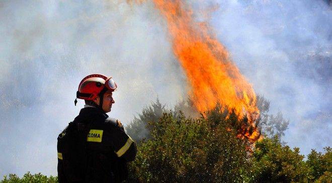 Μαρμάρι Καρύστου : Φωτιά σε αγροτική έκταση