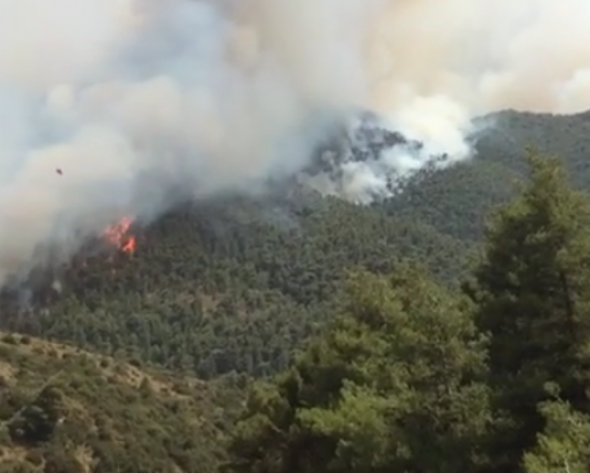 Πυρκαγιά στη Ραιδεστό Θεσσαλονίκης