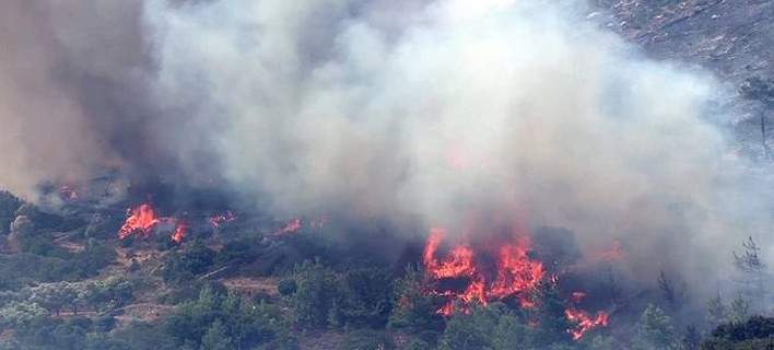 Χίος: Υπό έλεγχο η πυρκαγιά – Μεγάλες οι καταστροφές στις μαστιχοκαλλιέργειες