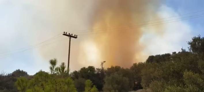 Σε ύφεση η μεγάλη φωτιά στον Αγιο Νικόλαο της Κρήτης