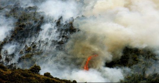 Μεγάλη οικολογική καταστροφή από τις φωτιές: 35.000 στρέμματα στην Κρήτη και άλλα 20.000 στην Εύβοια έγιναν «κάρβουνο» (φωτό)