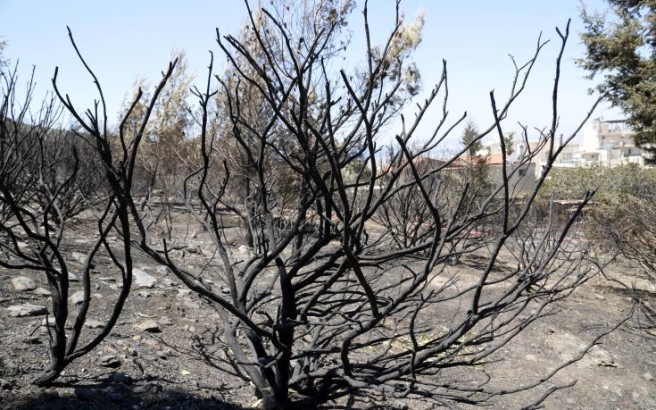 Σε ύφεση η φωτιά στο Ρέθυμνο