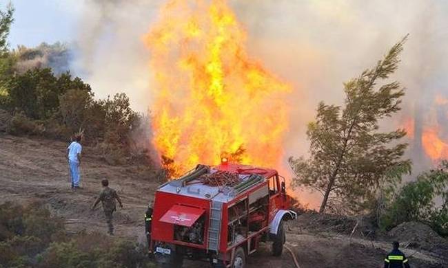 Συνεχίζει το καταστροφικό της έργο η φωτιά στην Εύβοια – Στην ”πόρτα” του Γυμνασίου της Λίμνης οι φλόγες (φωτό,vid)