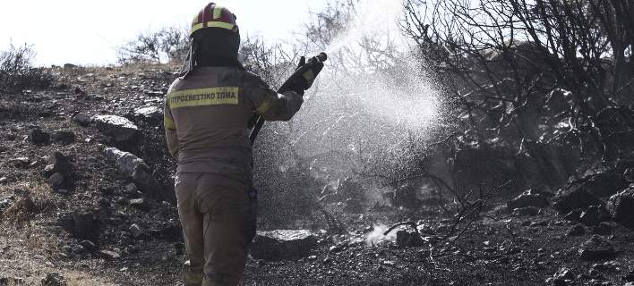 Υπό μερικό έλεγχο η φωτιά σε πευκοδάσος στην Κόνιτσα