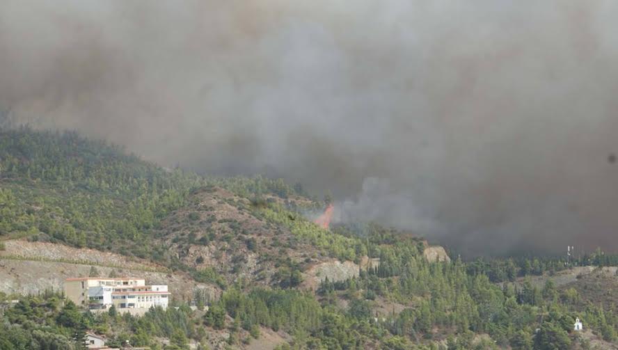 Υπό έλεγχο τέθηκε η μεγάλη φωτιά στη Λίμνη Ευβοίας -Ανυπολόγιστη η καταστροφή