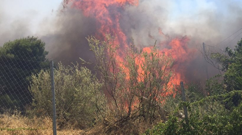 Σε ύφεση η φωτιά στην Αργολίδα