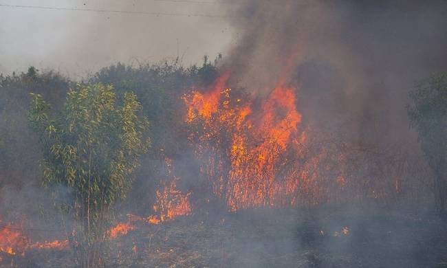 Σε εξέλιξη πυρκαγιά  σε δασική έκταση στη Δράμα