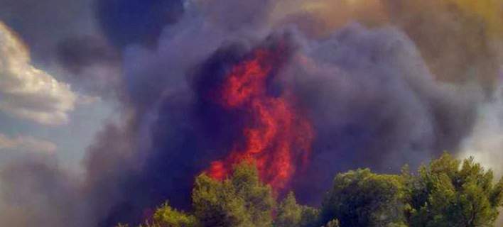 Υπό μερικό έλεγχο η πυρκαγιά στα Λευκάκια Ναυπλίου (φωτό)