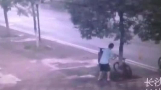 Κίνα: Ήθελε να κλέψει το ποδήλατο και έκοψε το … δέντρο (vid)