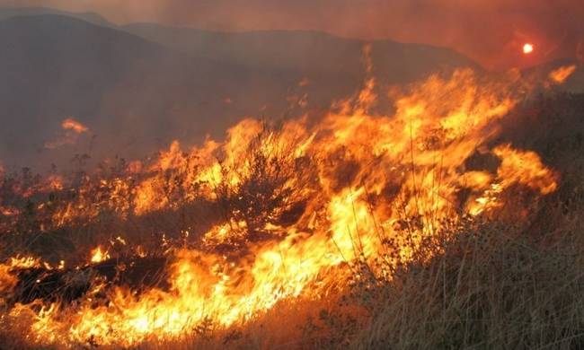 Σε εξέλιξη πυρκαγιές σε Ρέθυμνο, Άρτα, Λακωνία, Νέα Μάκρη, Μέγαρα και Κέα – Οι ισχυροί άνεμοι καθιστούν δύσκολο τον έλεγχό τους