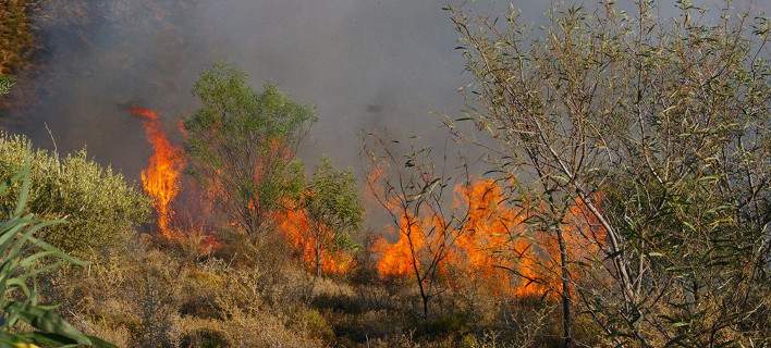 Υπό μερικό έλεγχο έχουν τεθεί τα 3 μέτωπα στα Χανιά