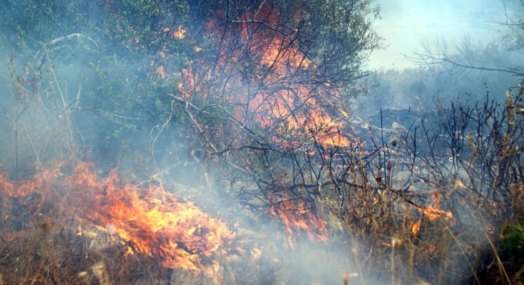 Φωτιά σε εξέλιξη σε δασική έκταση στο Ποδοχώρι Καβάλας