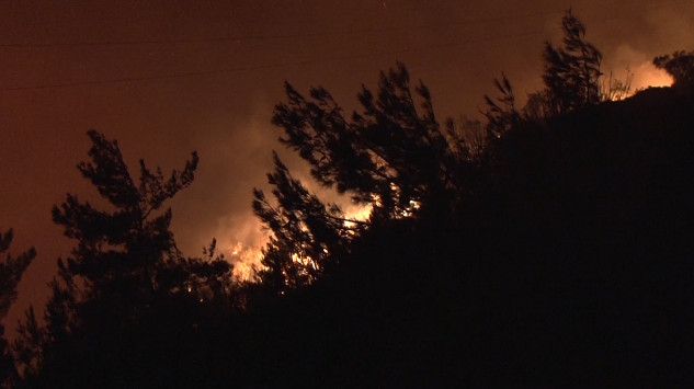 Σε ύφεση βρίσκεται η πυρκαγιά στη Χίο