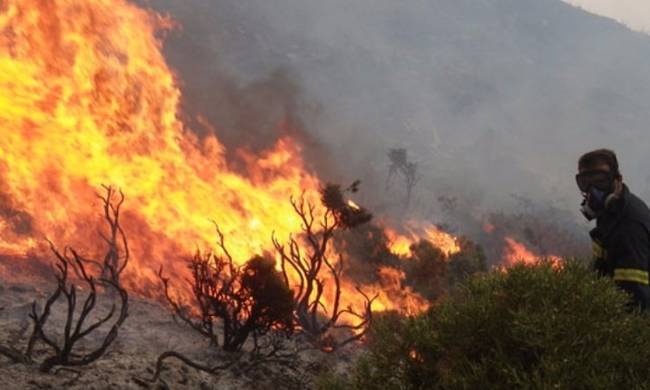 Υπό μερικό έλεγχο έχει τεθεί η φωτιά στη Νεμέα