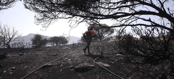 Χανιά: Υπό έλεγχο πυρκαγιά στην περιοχή Ασή Γωνιά  -Κάηκαν 120 στρέμματα