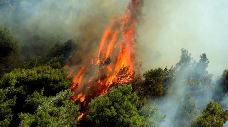 Σε εξέλιξη πυρκαγιά βορειοανατολικά της Κέρκυρας