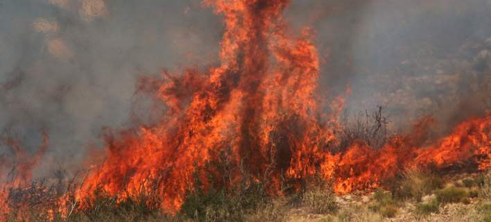 Υψηλός κίνδυνος πυρκαγιάς σήμερα Κυριακή – Ποιες περιοχές κινδυνεύουν (χάρτης)
