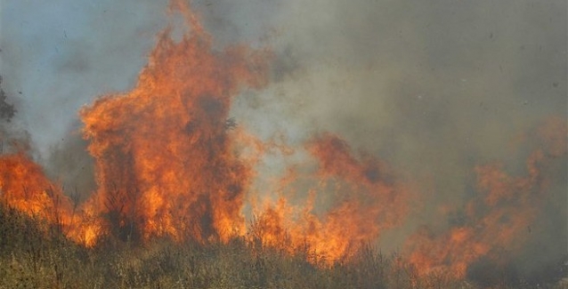 Πυρκαγιά μαίνεται στην Εύβοια