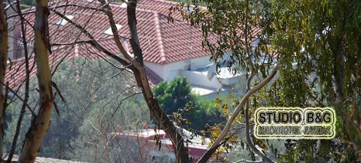 Αργολίδα: Kινδύνεψε από πυρκαγιά το σπίτι της αδερφής της Φώφης Γεννηματά (φωτό)