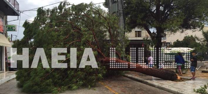 Ανεμοστρόβιλος σάρωσε την Ηλεία- Μεγάλες καταστροφές σε πολλά χωρία από την κακοκαιρία (φωτό,vid)