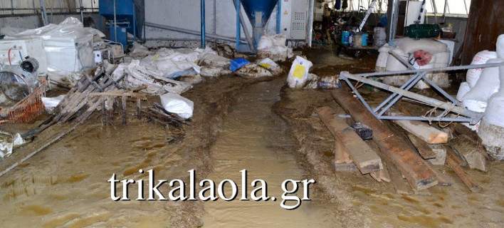 Στο έλεος της κακοκαιρίας τα Τρίκαλα- Σε απόγνωση αγρότες,κτηνοτρόφοι και κάτοικοι (φωτό,vid)