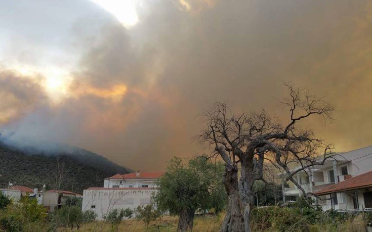 Σε κατάσταση έκτακτης ανάγκης η Θάσος: Κάηκαν σπίτια στο Καβαζίτι – Απειλείται ο οικισμός Θεολόγος (upd) (vid)