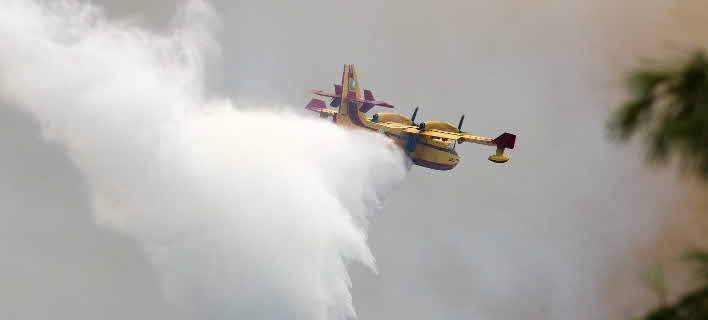 Φωτιά σε αγροτοδασική έκταση στην περιοχή Βάγια Βοιωτίας