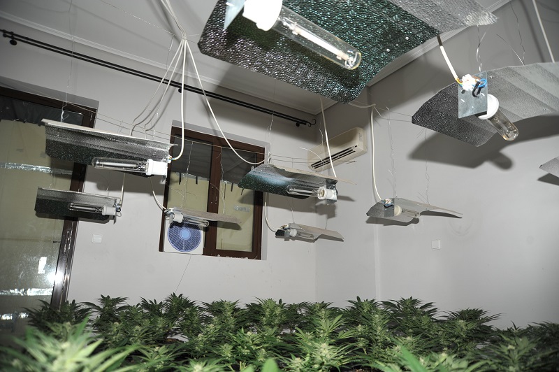 Ηράκλειο: 61χρονος έκρυβε υδροπονική φυτεία κάνναβης στο σπίτι του