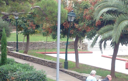 Θεσσαλονίκη: Αυξημένα τα περιστατικά βανδαλισμού στο δίκτυο ηλεκτροφωτισμού του δήμου