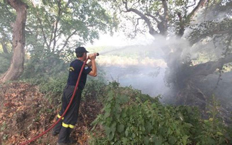 Σε ύφεση βρίσκεται πλέον η πυρκαγιά στην Κάρυστο Ευβοίας