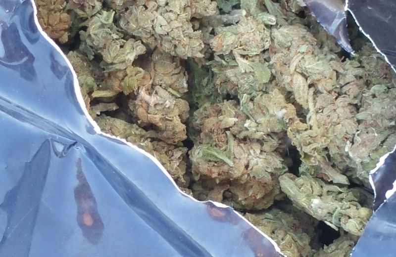 Ιωάννινα και Αμαλιάδα: Συνελήφθησαν δύο διακινητές ναρκωτικών ουσιών σε μπλόκα της ΕΛ.ΑΣ.