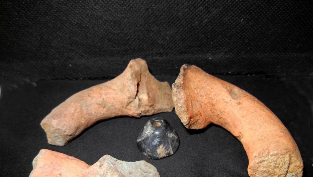 Φάρσαλα: Συνελήφθη 36χρονος αρχαιοκάπηλος