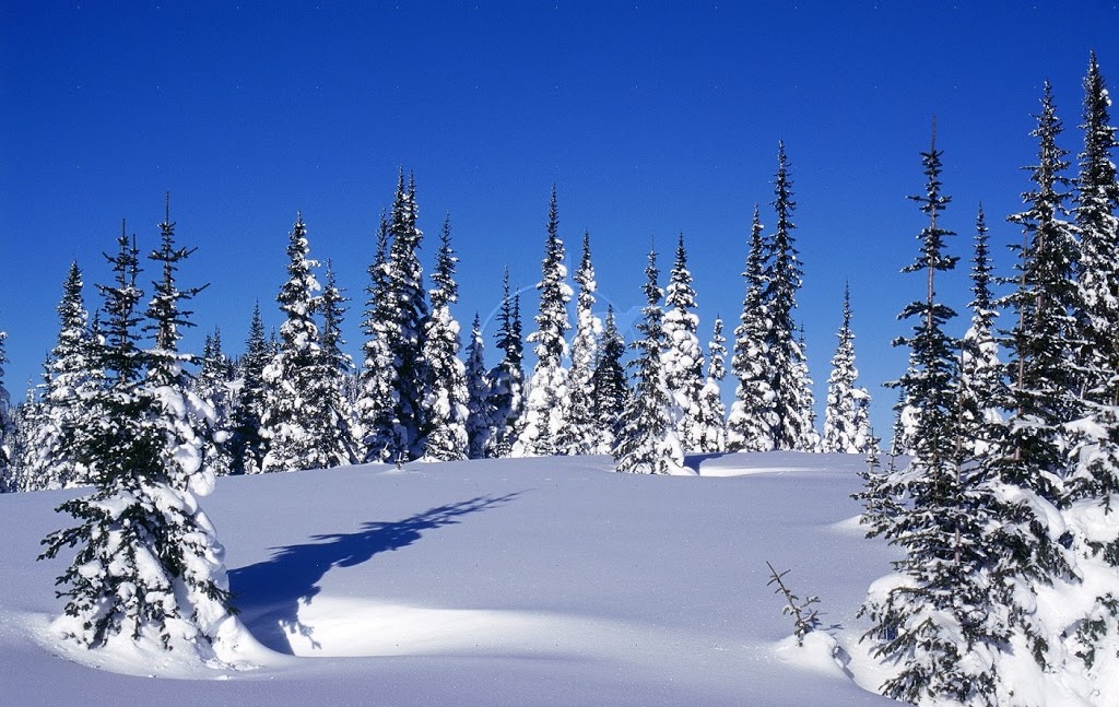 Αίσιο τέλος είχε η περιπέτεια των τριών ατόμων που είχαν εγκλωβιστεί στα χιόνια