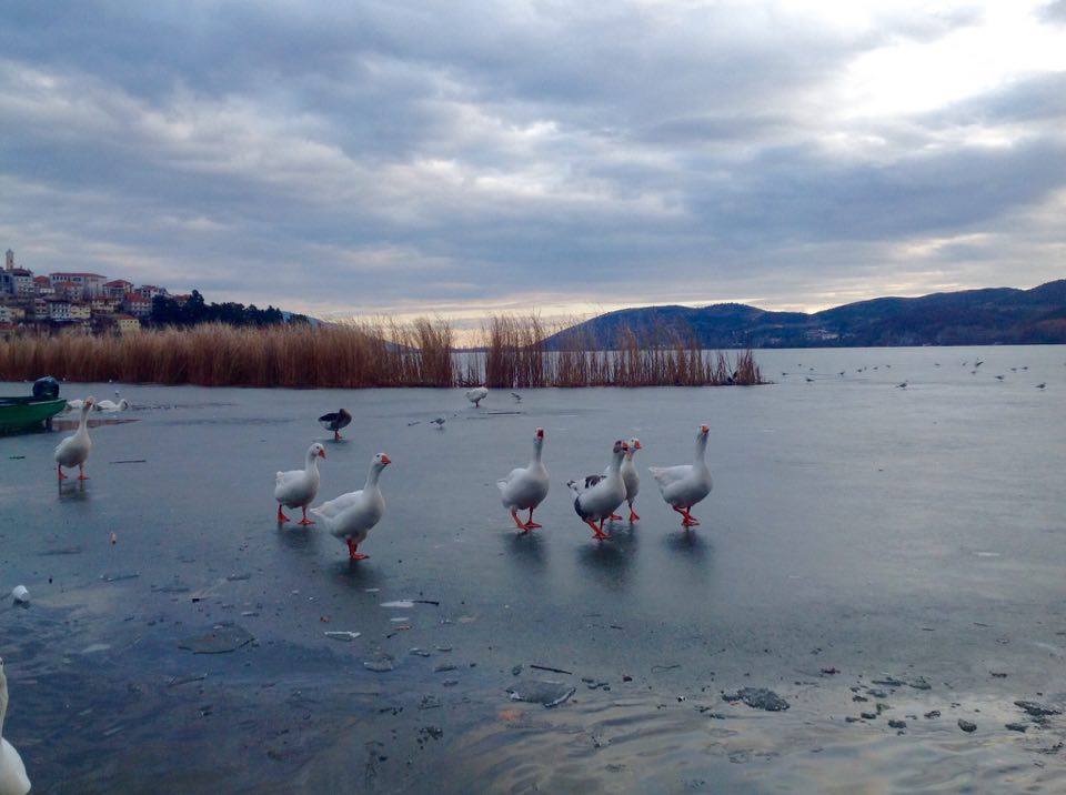 Δυτ. Μακεδονία: Πάγωσαν οι λίμνες σε Καστοριά-Φλώρινα (φωτό)