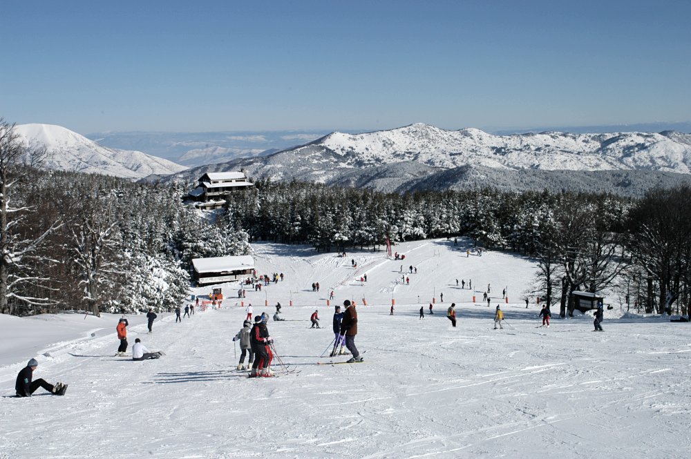 Φωτιά εκδηλώθηκε το πρωί στο χιονοδρομικό κέντρο του Λαϊλιά στις Σέρρες