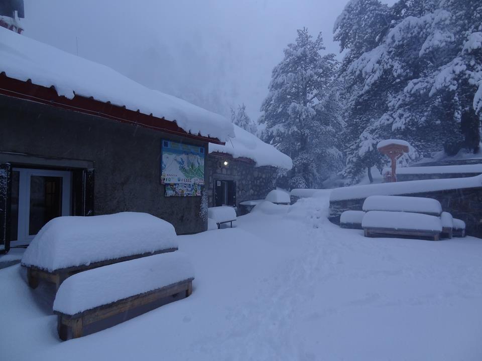 Κύμη: Δεν μπορούν να βγουν απο τα σπίτια τους λόγω χιονιά και σκάβουν λαγούμια (βίντεο)