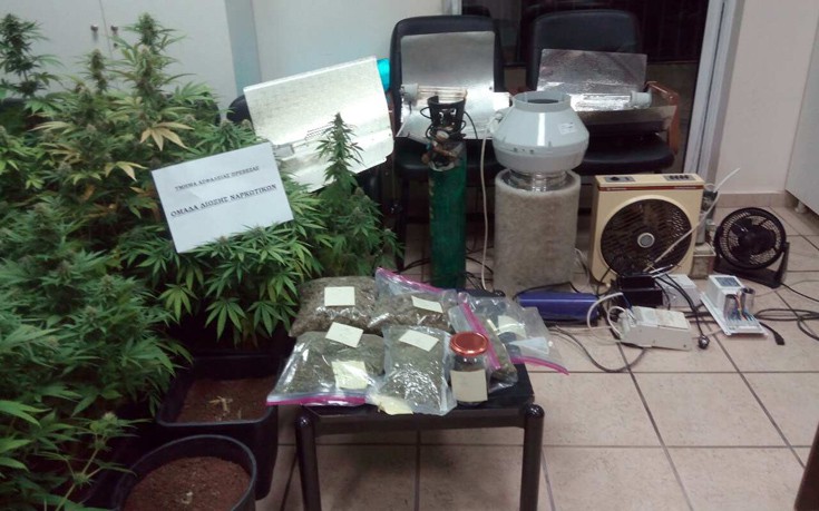 Εργαστήριο υδροπονικής καλλιέργειας κάνναβης εντοπίστηκε στην Πρέβεζα (φωτό)