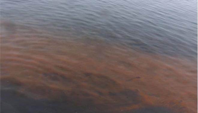 Θεσσαλονίκη: Εισαγγελέας για την ρύπανση στο Θερμαϊκό Κόλπο