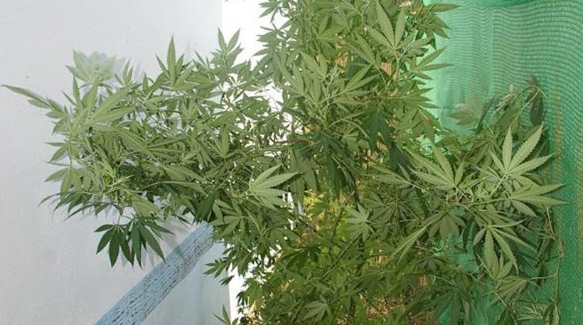 Καβάλα: 51χρονος ακολουθούσε οδηγίες φυλακισμένου για παραλαβή χασίς