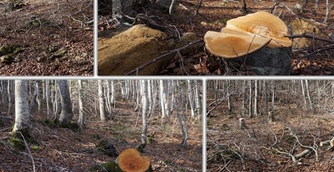 Πίνδος: Ανενόχλητη δράση λαθροϋλοτόμων ακόμα και στη Βάλια Κάλντα