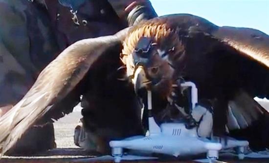 4 αυγά χρυσαετών: Το νέο υπερόπλο κατά της τρομοκρατίας από τη γαλλική ΠΑ (Εντυπωσιακό βίντεο)