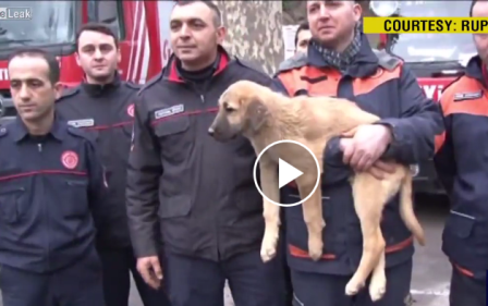 Τουρκία: Επεισοδιακή διάσωση κουταβιού που είχε παγιδευτεί σε πηγάδι για 10 ημέρες (φωτό, βίντεο)