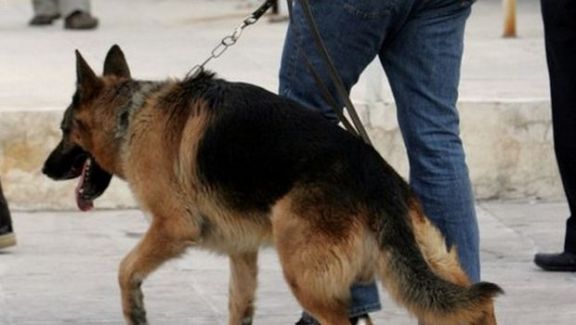 Σκύλος της αστυνομίας εντόπισε δέμα που περιείχε δεκάδες γραμμάρια χασίς