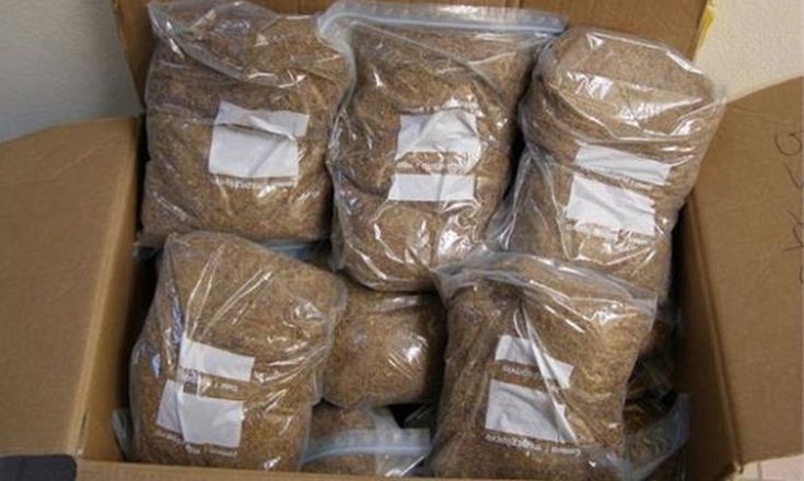 «Δίπορτο» το είχαν δυο γυναίκες-Έφερναν λαθραίο καπνό και μετανάστες στην Ελλάδα