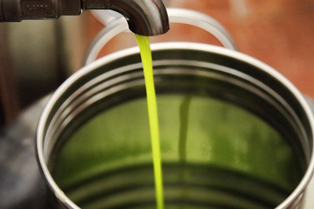 Κιλκίς: Συνελήφθη 25χρονος πωλητής «μαϊμού» ελαιολάδου