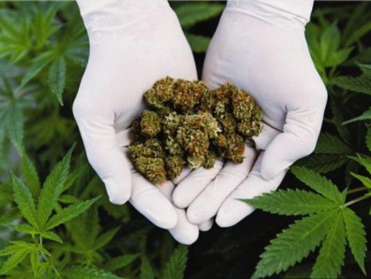 Ηράκλειο: Βρέθηκε εργαστήριο καλλιέργειας κάνναβης σε σπίτι