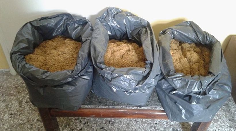 Ιωάννινα: Συνελήφθη Αλβανός που μετέφερε λαθραίο καπνό με λεωφορείο του ΚΤΕΛ